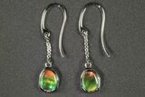 Flashy Ammolite (Fossil Ammonite Shell) Earrings with Sterling Silver #271759-1